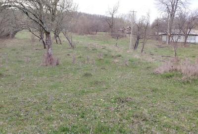 Teren de 4200 mp, în Bisoca - 1