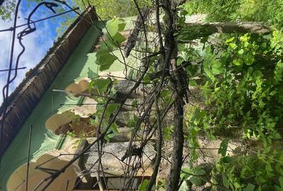 Casă cu 5 camere cu Teren 5000 Mp în Central