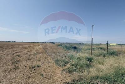 Teren agricol extravilan de 16750 mp, în Cârcea - 14