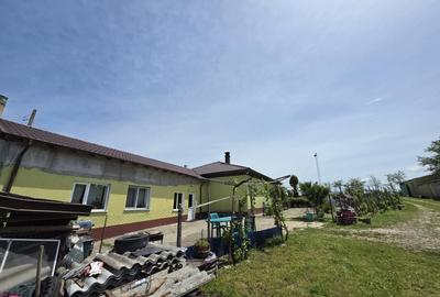 Casă individuală cu 3 camere cu Teren 3604 Mp în Tortoman - 12