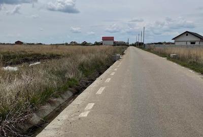 Teren de 3668 mp, în Albota