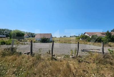 Teren în Pianu