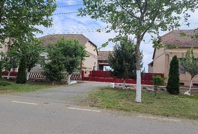 Casă cu Teren 2877 Mp în Tomnatic - 1