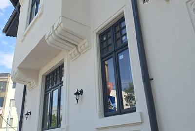 Casă cu 13 camere cu Teren 328 Mp în Ferdinand