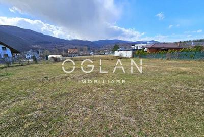Teren Construcții intravilan de 1650 mp, în Cisnădioara - 2