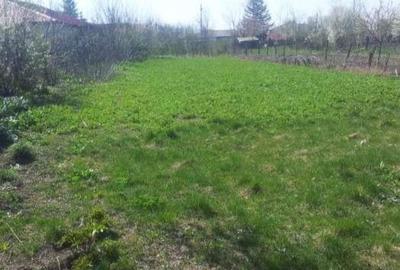 Casă individuală cu 3 camere cu Teren 2300 Mp în Luica - 2