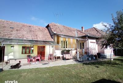Casă cu 4 camere cu Teren 4000 Mp în Bereni