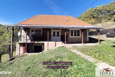 Casă cu 3 camere decomandat în Galda de Jos