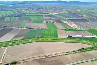 Teren Construcții intravilan de 126800 mp, în Stupini - 16
