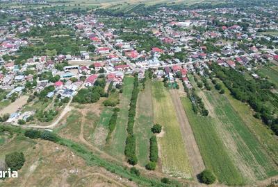 Teren de 4699 mp, în Milcovul