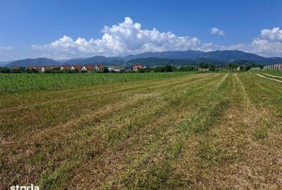 Teren de 500 mp, în Central - 3