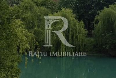 Teren de 9000 mp, în Curtuișeni - 3