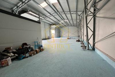 Spațiu industrial, de 575 mp, în Lipovei - 3