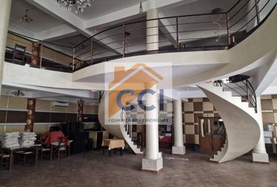 Casă individuală cu 8 camere cu Teren 4500 Mp în Măgura - 15