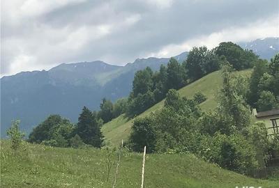 Teren de 10000 mp, în Bran - 10