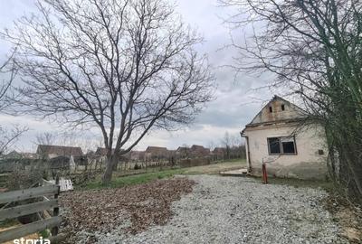 Casă cu Teren 1355 Mp în Ștrand - 4