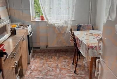 Apartament cu 2 camere semidecomandat, mobilat în Brotăcei - 3