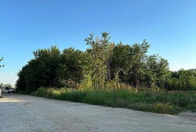 Teren de 433 mp, în Central