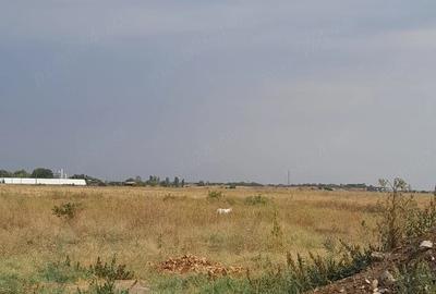 Teren de 8600 mp, în Central