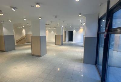 Spațiu comercial, de 467 mp, în Horea - 2