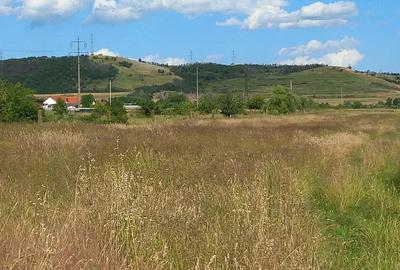 Teren de 450 mp, în Șimian - 2