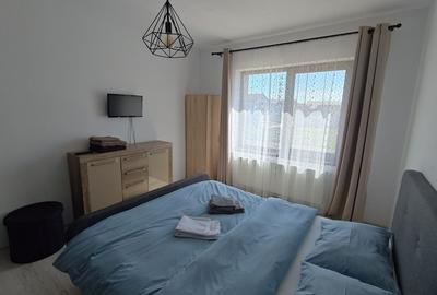 Apartament cu 2 camere decomandat în Giroc - 2