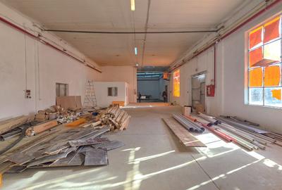 Spațiu industrial, de 5,211 mp, în Turnu Măgurele - 8