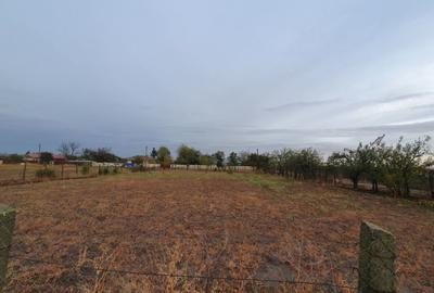 Teren de 1739 mp, în Padina - 3