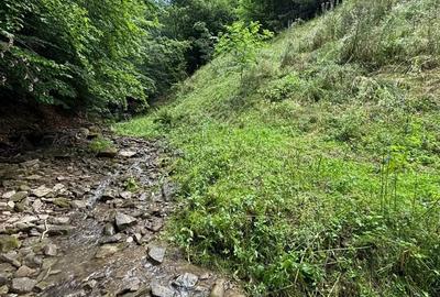 Teren de 35000 mp, în Parva - 10