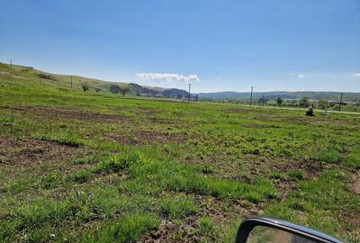 Teren Construcții intravilan de 17000 mp, în Căpușu Mare - 1