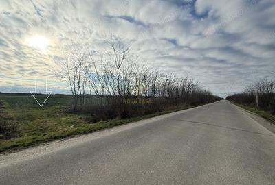 Teren de 6600 mp, în Lazuri - 4