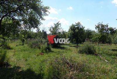 Teren Construcții intravilan de 2810 mp, în Fratelia - 9