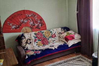 Casă cu 2 camere cu Teren 1500 Mp în Copaciu - 10