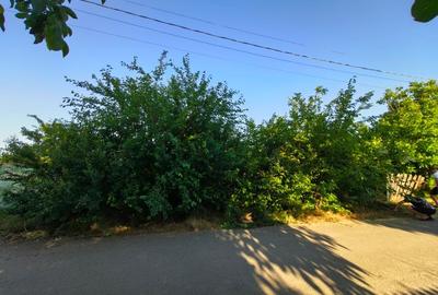 Teren Construcții intravilan de 1050 mp, în Pecineaga - 8