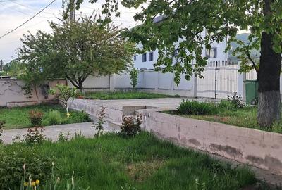 Casă cu Teren 440 Mp în 1 Mai - 3