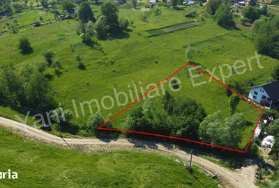 Teren de 2400 mp, în Valea Danului - 3