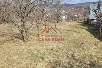 Casă cu Teren 3676 Mp în Poiana - 13