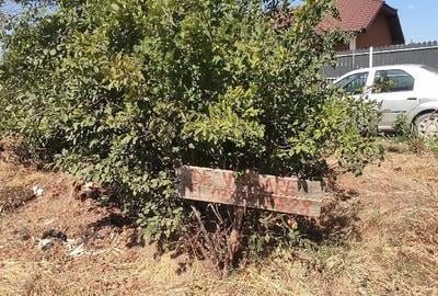 Teren de 800 mp, în Amara
