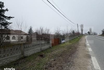 Casă cu 3 camere cu Teren 2714 Mp în Dobrești - 9