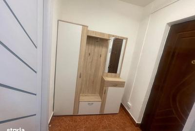 Garsonieră, mobilată în Brazda lui Novac