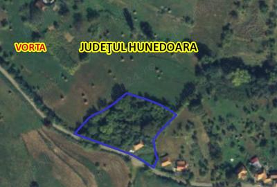 Casă cu 2 camere cu Teren 3100 Mp în Certeju de Sus