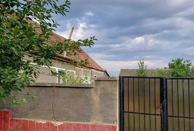 Casă cu 2 camere cu Teren 1400 Mp în Secusigiu - 4