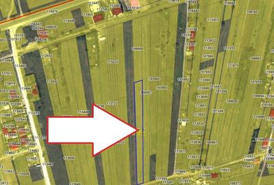 Teren Construcții intravilan de 2500 mp, în Lazu - 1