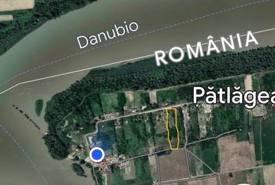 Teren de 8800 mp, în Pătlăgeanca