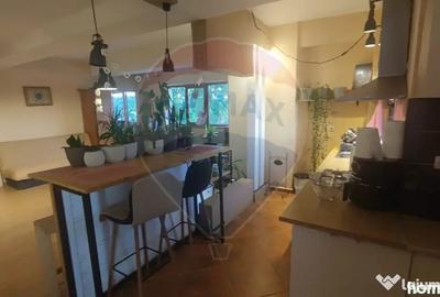 Apartament cu 2 camere decomandat în Paleu