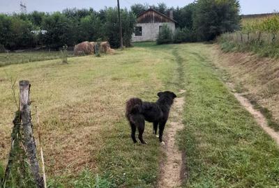 Casă cu 2 camere în Valea - 1