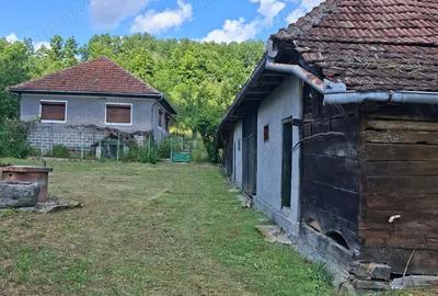 Casă cu 3 camere în Tomești - 3
