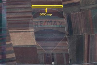 Teren de 5000 mp, în Tărlungeni - 1