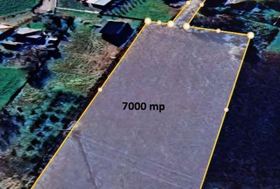 Teren de 7000 mp, în Boroaia - 4
