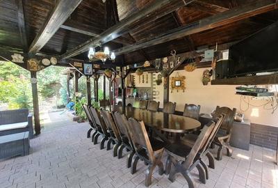 Casă individuală cu 6 camere cu Piscina în Domnești - 6
